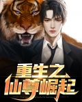 重生之仙尊无敌
