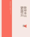 除却巫山不是云谁写的