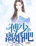 傅少离婚吧 小说免费阅读