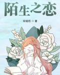 陌生之恋