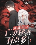 西城电视剧名字叫什么