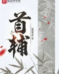 首辅大人的宠妾