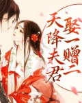 天降夫君动漫视频