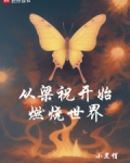 从梁祝开始燃烧世界TXT