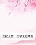 王爷毒宠 王妃请上位