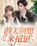书名:前夫别总想复婚