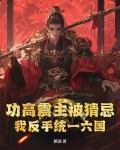 功高震主被猜忌？我反手统一六国