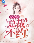 帝少总裁文