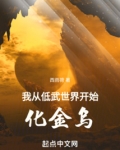 我从低武世界开始化金乌免费