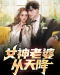 天降土豪老婆