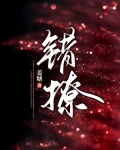 错撩(简欢、娄枭)