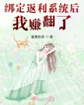 绑定返利系统后，我赚翻了！