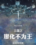 三国廖化传 小说