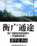 衡广通途：衡广铁路复线建成通车