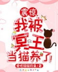 我成了冥王的祭品