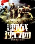 抗战之野战独立团