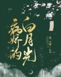 病娇的白月光