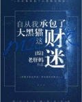自从我承包了大黑猫这财迷晋江