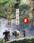 大宋小农民