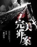 完美罪案TXT下载