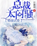 婚前试爱,这个总裁有点冷