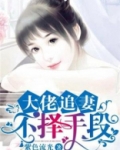 大佬追妻不择手段免费阅读笔趣阁