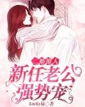 二婚新妻太难追