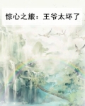 惊心之旅：王爷太坏了