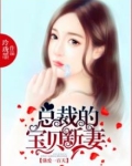 总裁强宠101次小说免费阅读