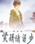 贤婿电视