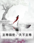 天下至尊在线阅读