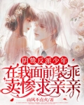 阴鸷反派少年在我面前装乖卖惨求亲亲TXT下载