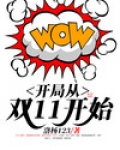 开局从双11开始免费阅读