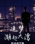 潮起海之南,逐梦自贸港的意思