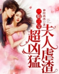 一胎三宝,夫人虐渣超凶猛
