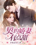 契约娇妻有点甜 小说