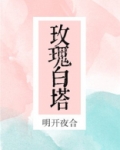 玫瑰白塔讲的什么故事