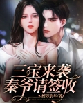 三宝来袭,秦爷请签收在线观看