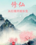 修仙从红楼开始长生小说