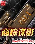 商踪谍影 小说下载