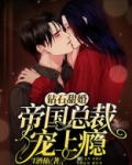 钻石婚宠帝国总裁撩上瘾