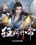 狂婿丹帝 小说