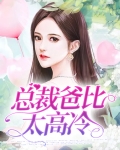 高冷总裁的小说