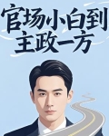 官场小白到主政一方