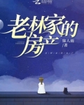 老林 qg