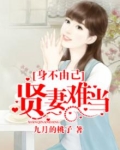 身不由己：贤妻难当