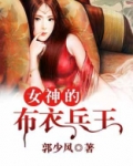女神的布衣兵王
