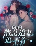 离婚后渣总追妻追不着小说TXT