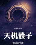 天机骰子