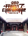 四合院:开局坑了白眼狼棒梗 作者傻柱不傻